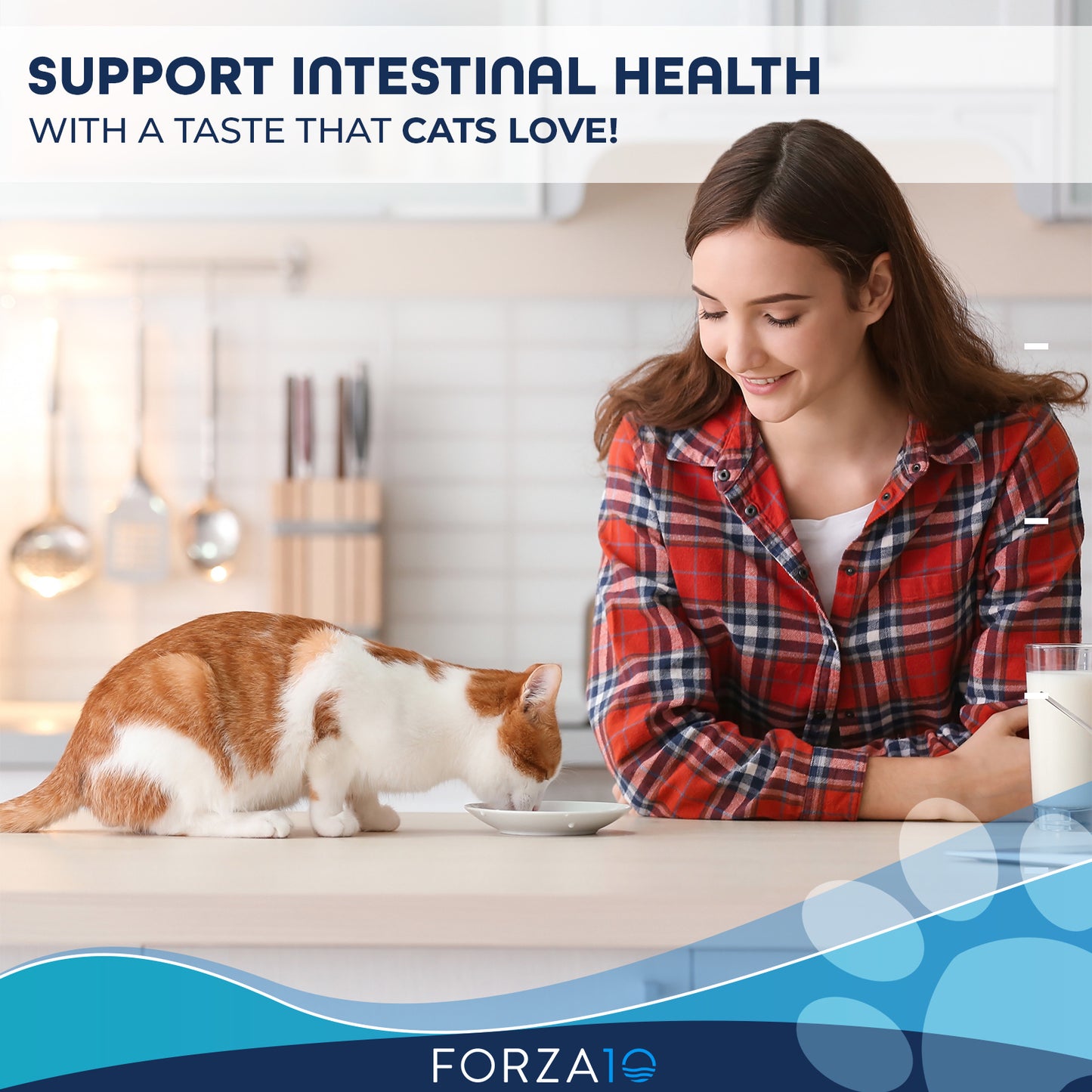 Active Cat Intestinal 4lb